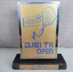 DJEI TII OPEN 2017