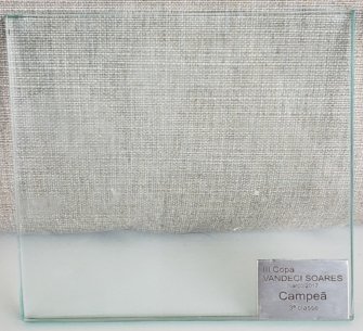 III COPA VANDECI SOARES